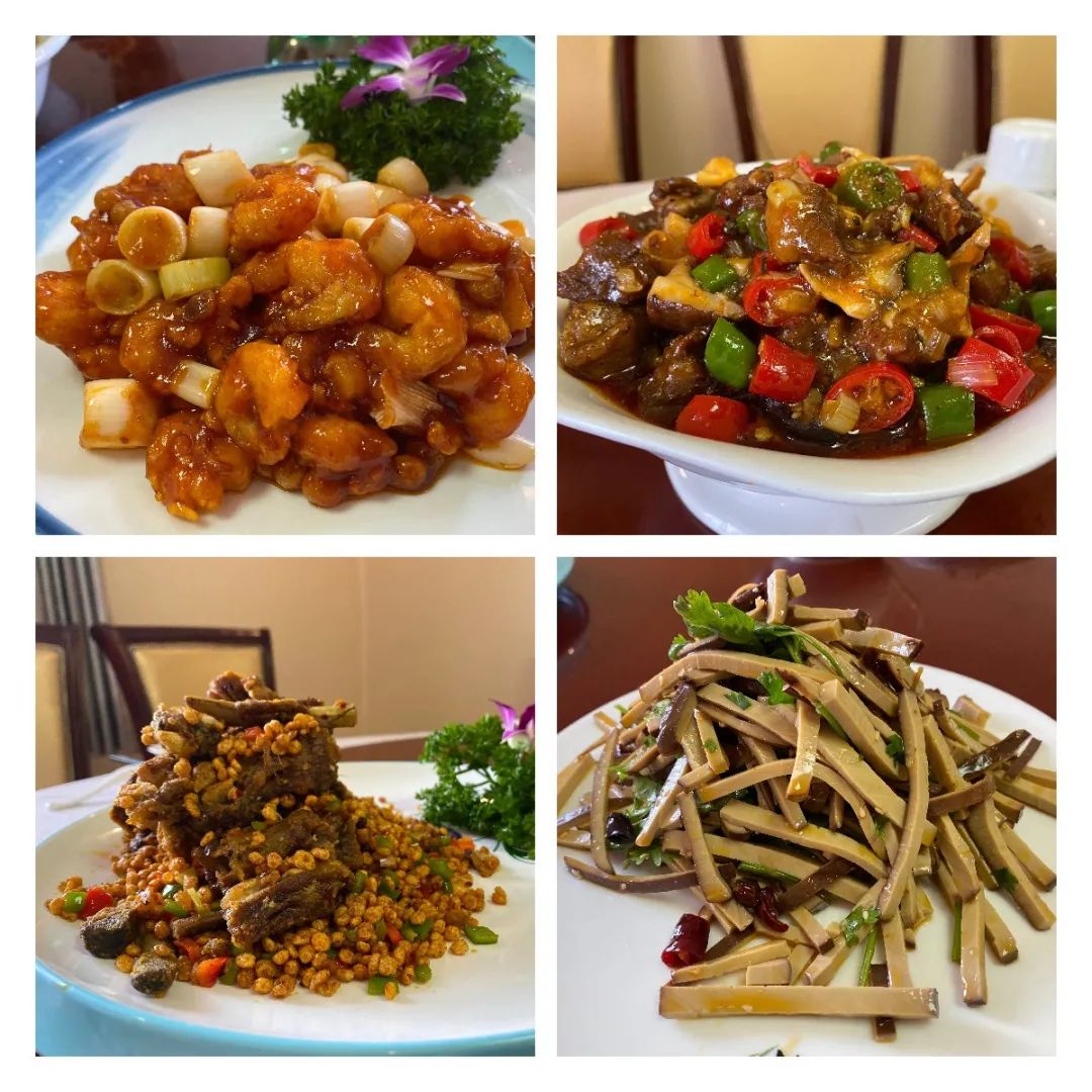 在植物園里用餐是種什么體驗？