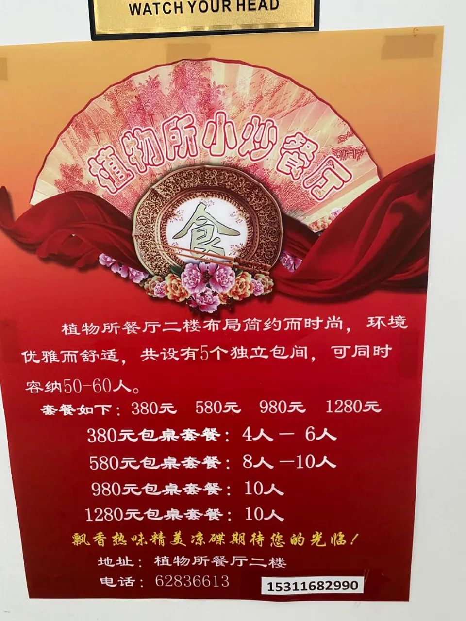 在植物園里用餐是種什么體驗？